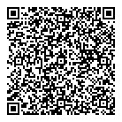 QR код "Интрошик"