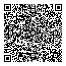 QR код "Гжель"