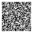 QR код "Дирижабль"