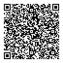 QR код "Звездный"