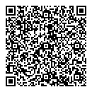 QR код "Мир"