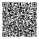 QR код "Painting by numbers"