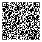 QR код "VSM Service"