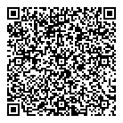 QR код "Сокол"