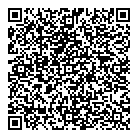 QR код "Метеор"