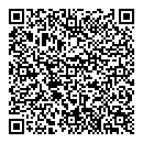 QR код "Силуэт"
