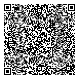 QR код "Тесли"