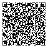 QR код "ДМТ Электроникс"