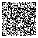QR код "Аудит-ру"