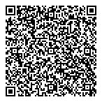 QR код "ДВТ-Лизинг"