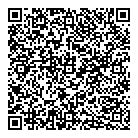QR код "Звездный"