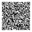 QR код "Метеор"