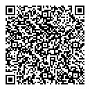 QR код "Барс"