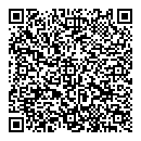 QR код "Форсаж"