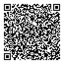 QR код "CarElectrix"