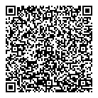 QR код "АЗС Statoil"