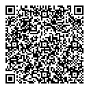 QR код "17"