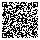 QR код "Шишки"