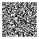 QR код "SkVer"