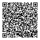 QR код "Мосты"