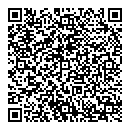 QR код "СССР"