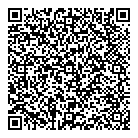 QR код "Шайба"