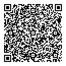 QR код "Арсенал"