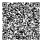QR код "Спутник"