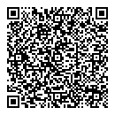 QR код "100ловая"
