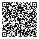 QR код "Гейзер"