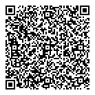 QR код "Воздушный мир"