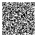 QR код "Чайка"