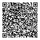 QR код "Чайка"