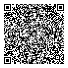 QR код "Зенит"
