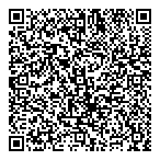 QR код "33 пингвина"