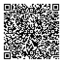 QR код "Кремль-9"