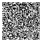 QR код "WEB spb"
