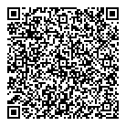QR код "Домино"