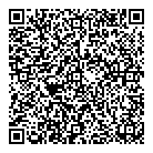 QR код "DiscoLand"