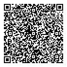 QR код "DvPlay"