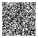 QR код "Винил"