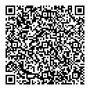 QR код "Мир"