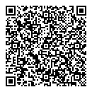 QR код "Метеор"
