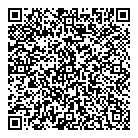 QR код "Ромашка"