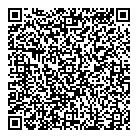 QR код "Solvis"