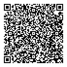 QR код "Созвездие"