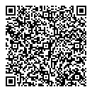 QR код "Блиняшка"