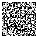 QR код "Домино"