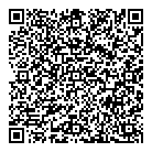 QR код "Хамелеон"