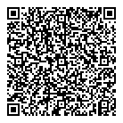 QR код "Solvi"